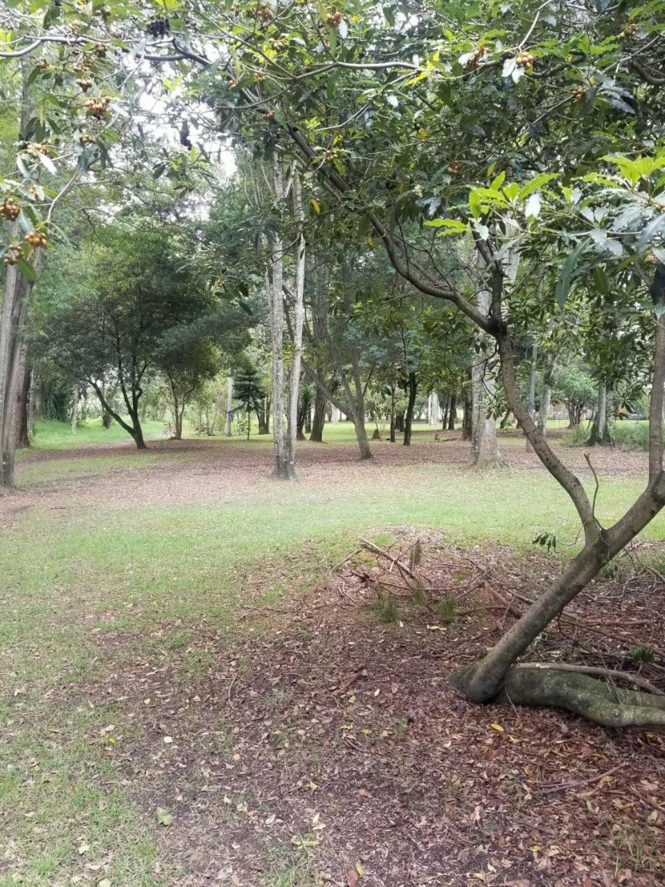 Apartamento Edificio Amazonas *